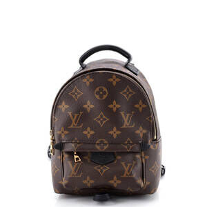 Louis Vuitton Palm Springs Backpack #223293L21B